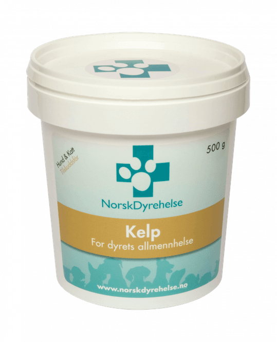 Hovedbilde Kelp 