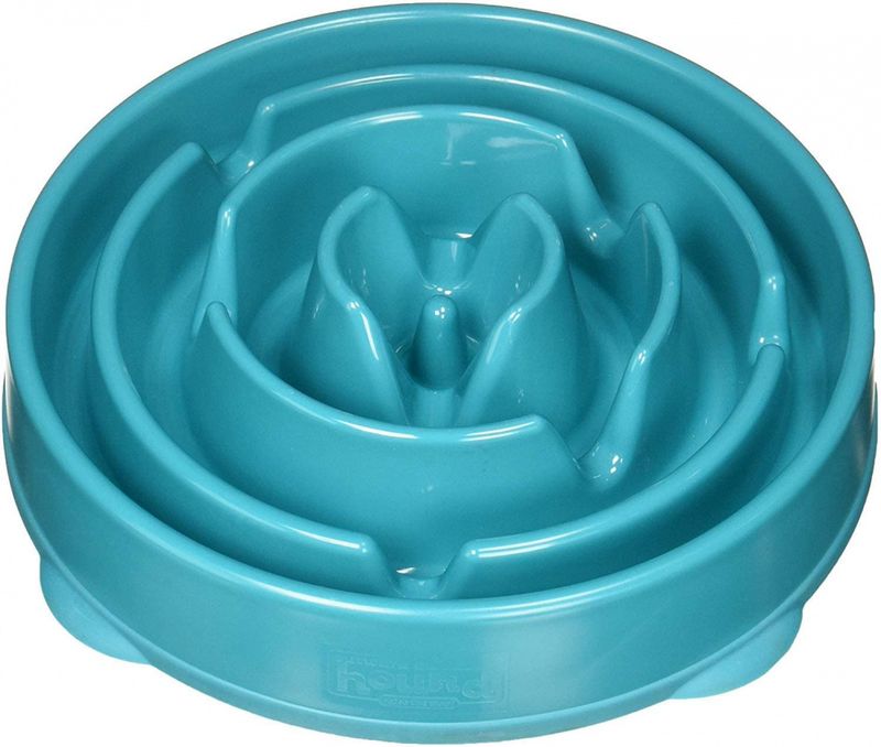 Fun feeder slow bowl
